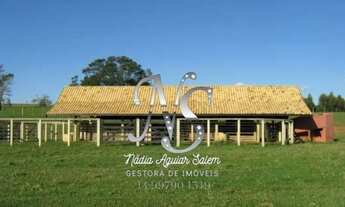 Imagem 6: SITIO 8 ALQUEIRES OU 19 HECTARES A 10 KM DE JAU-SP