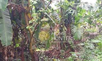 Imagem 3: Terreno à venda, 2714 m² por R$ 1.800.000,00 - Centro (Pirabeiraba) - Joinville/SC