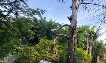 Imagem 5: Domínio sobre terreno 5.005m², c/ casa, edicula, galpões e estufas, Bauru/SP