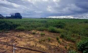 Imagem 4: FAZENDA 450 ALQUEIRES 12 KM DE SANTA MARIA