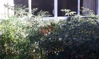 Imagem 7: Rua tranquila, arborizada, que tal planejar planos para a sua familia!