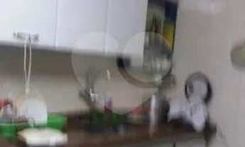 Imagem 7: Apartamento-Guarulhos-Vila Moreira