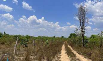 Imagem 4: FAZENDA À VENDA EM LIZARDA - TO - 2.000 HECTARES (DUPLA APTIDÃO