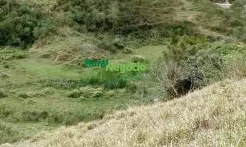 Imagem 7: CHÁCARA DE 5.000 MTS Á VENDA EM PIQUETE-SP