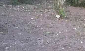 Imagem 4: Vendo lote Terreno / lote com venda por R$65.000