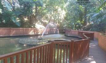 Imagem 2: Apartamento Padrão para Venda em Jardim Catanduva São Paulo-SP