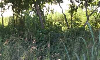 Imagem: Troco terreno no Pedra 90 por Xt660 ou carro