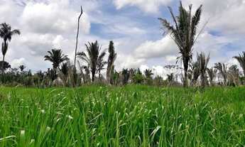 Imagem: VENDE-SE SÍTIO 13 ALQUERES