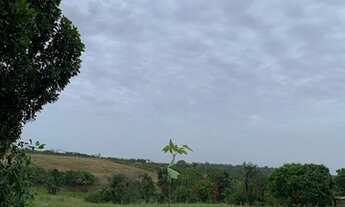 Imagem 3: Vendo/Troco Sitio na sede de alto alegre