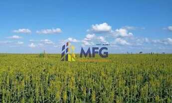 Imagem 7: Fazenda em Nova Mutum MG