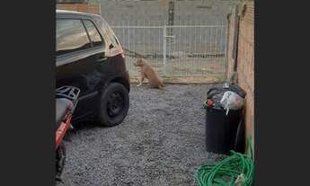 Imagem 3: Casa 3 qtos forquilhinhas