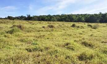 Imagem 5: Área 13,58 hectares, próximo do Distrito Cruzeiro dos Peixotos