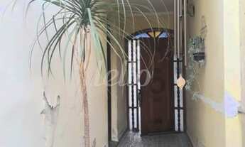 Imagem 3: São Paulo - Casa Padrão - Vila Prudente