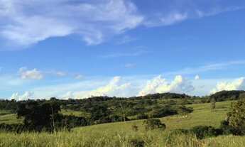 Imagem 7: Fazenda à venda 132 alqueires em Goiás-GO