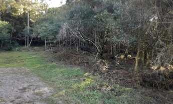Imagem 7: CAXIAS DO SUL - Terreno Padrão - MONTE BÉRICO