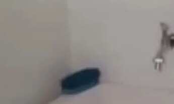 Imagem 7: Loft Kitnet com 1 dormitório