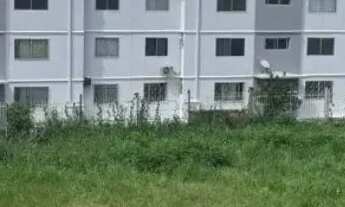 Imagem 2: Vendo apartamento 3 quartos oportunidade - Negrao de Lima