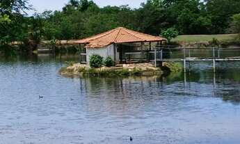 Imagem: Vendo sítio na região de Goiás velho