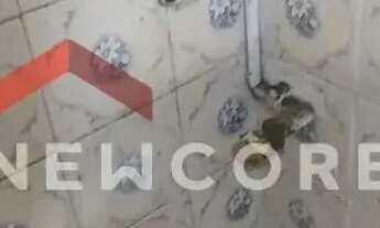 Imagem 2: Apartamento em Rua Frei Francisco Sampaio - Aparecida - Santos/SP