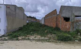 Imagem 3: Lote Eduardo Gomes