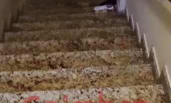 Imagem 16: Casa na Ilha dos Araújos