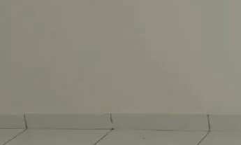 Imagem 5: Vendo Flora ville