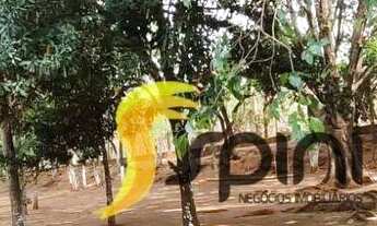 Imagem 6: Chácara para alugar, 960 m² por R$ 10.000,00/mês - Cidade Jardim - Uberlândia/MG