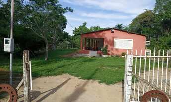 Imagem 2: Sítio à venda, BR, Rosário Oeste, MT