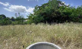 Imagem 4: 04 LOTES 12X30= 1.440 MTS, DE ESQUINA EM SÃO GONÇALO DO AMARANTE (PARADA
