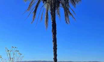 Imagem 6: Chácara 1400m² à 1800m², Parcelado, Energia, Próximo Fazenda Jabuticabal, Aragoiânia