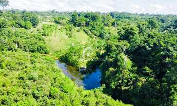 Imagem 4: Sítio Ramal do Banco, Rio Preto com Nascente