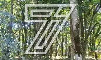 Imagem 5: Terreno com 4.400m² no O Recanto I - Piraquara/PR