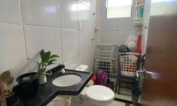 Imagem 7: Repasse colibris