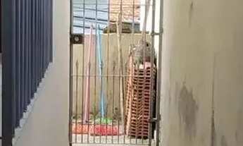 Imagem 2: Casa em Rua Canário - Laranjeiras - Caieiras/SP