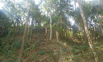 Imagem 6: Lote em condomínio em Alameda dos Canários - Caraguatá - Mairiporã/SP