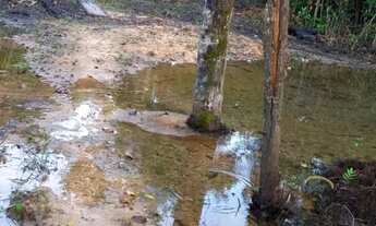 Imagem 4: Vende-se um sítio na região urubuzinho!