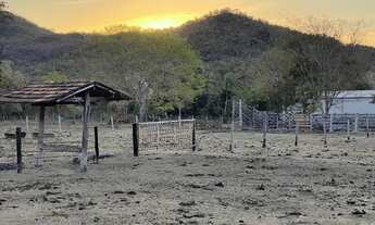 Imagem 5: Fazenda em crixas