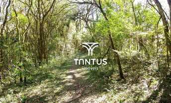 Imagem 6: Chácara à venda, 97074 m² por R$ 1.750.000,00 - Weissópolis - Pinhais/PR