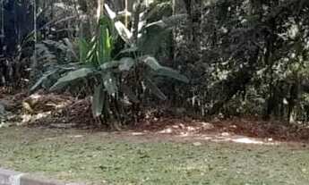 Imagem 5: Lote em Rua Tiradentes - Caraguatá - Mairiporã/SP