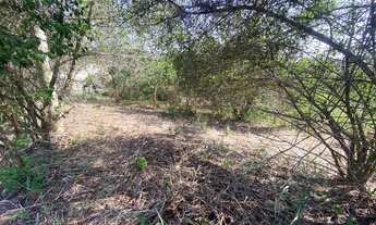 Imagem 6: Lotes a partir de 546m² com RGI, em Barreira