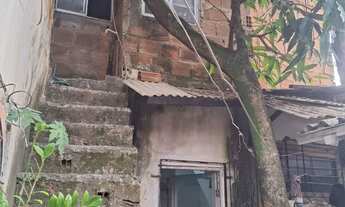 Imagem 11: 3 Casa 7por 10 quintal grande pé de abacat e mangueira Maradona leia a baixo