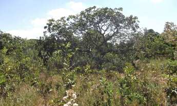 Imagem 7: Jaboticatubas.Almeida próximo a Lagoa Santa, lotes de 360m² * Zap Guilherme