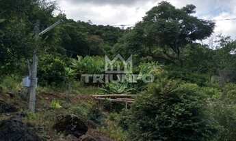 Imagem 3: Sitio para Venda Linha Café Alta, Três Coroas