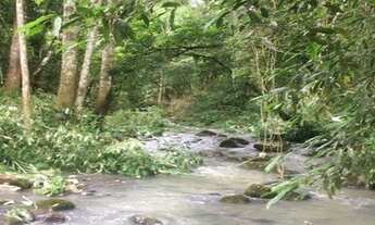 Imagem 2: Oferta Imperdível - Sítio com Riacho - ST00012