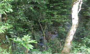 Imagem 5: Oferta Imperdível - Sítio com Riacho - ST00012