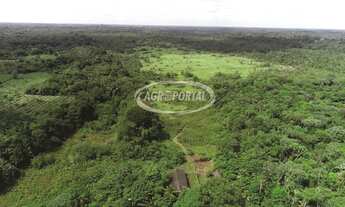 Imagem: Fazenda no Pará - Barcarena - 303 ha (62