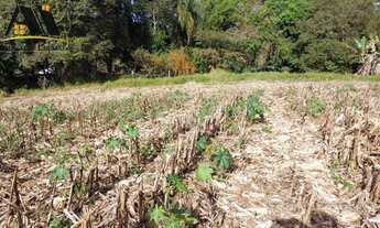 Imagem 4: Terreno para Venda em Pinhalzinho, zona rural