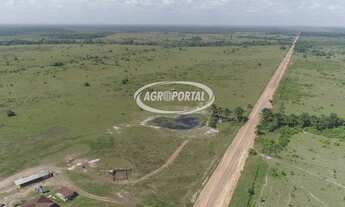 Imagem 3: Fazenda no Pará - Viseu - 6648 ha (1373 alq