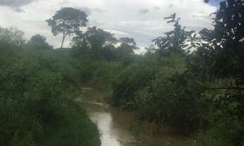 Imagem 3: Chácara em Avelinópolis