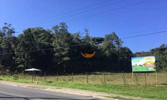 Imagem 2: Área à venda, 29040 m² por R$ 6.000.000,00 - Bom Jesus - Campo Largo/PR